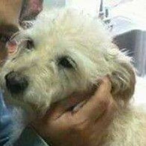 Meet your Posher, Danelle